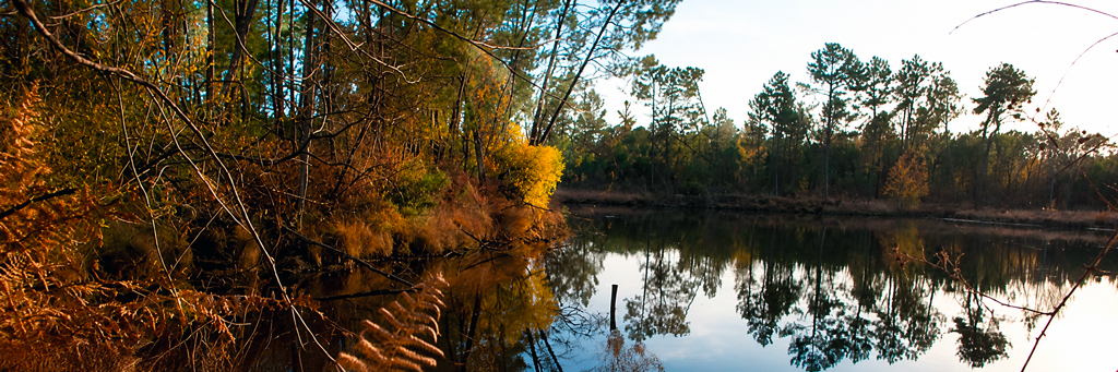 Etang de Buros