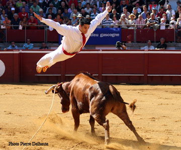 Saut course landaise